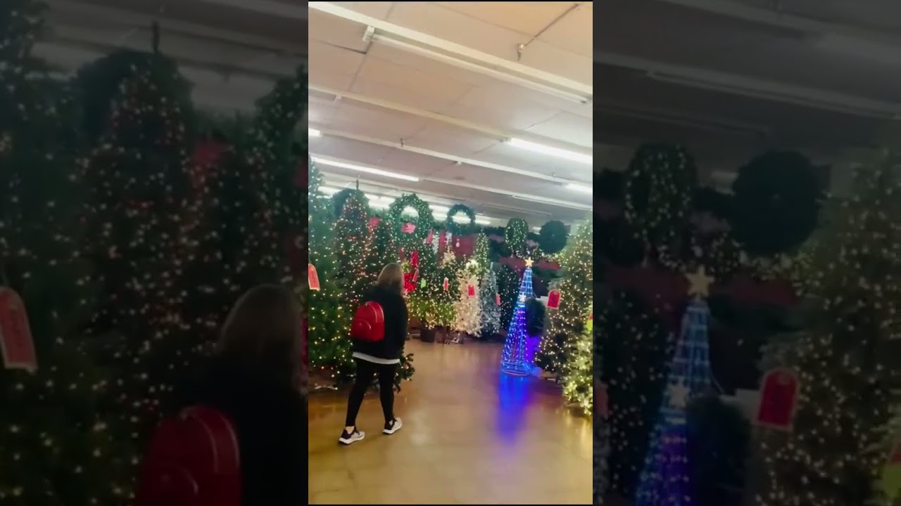 Christmas tree shop in usa , with huge collection of Exclusive Christmas Trees [Feast for eyes)