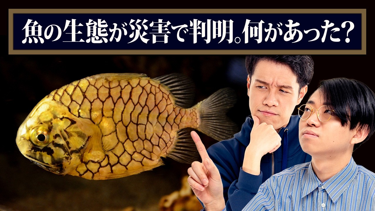 魚の生態が災害で分かった。どういうこと？