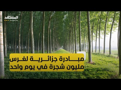 الجزائر حملة وطنية كبرى لغرس مليون شجرة شمال البلاد في يوم واحد