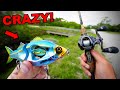 World's Craziest BIG SWIMBAIT Fishing Challenge (INSANE!)