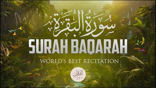 Surah AL BAQARAH Full (سورة البقره) ULTIMATE HEART RELAXING VOICE | AFL