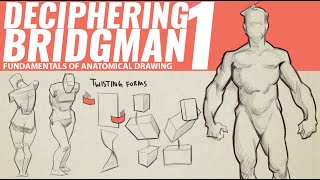 DECIPHERING BRIDGMAN'S ANATOMY 1