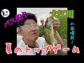 【バス釣り】大江川でトップウォーターゲーム！〜夏の朝練〜