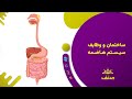 صنف بیولوژی صنف نهم درس ۱ ساختمان و وظایف سیستم هاضمه