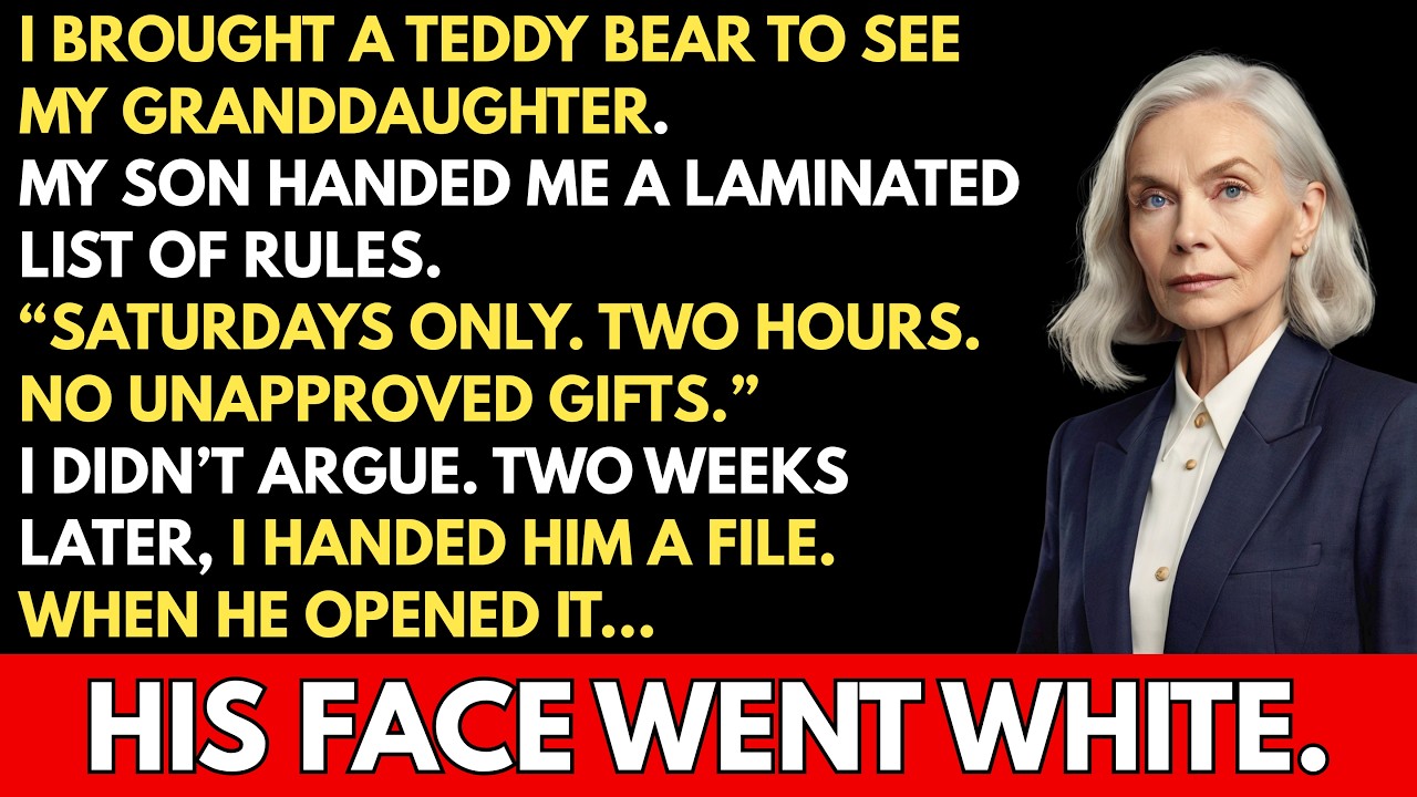 My Son Handed Me A List Of Rules To See My Granddaughter — So I Handed Him A File Instead.