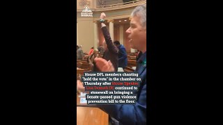 House DFL members chanting "hold the vote" on bringing a Senate-passed gun violence prevention bill