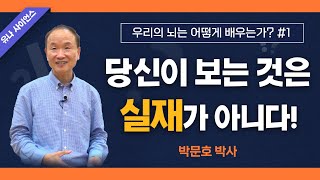 박문호 박사의 우리의 뇌는 어떻게 배우는가 1편 / 당신이 보는 것은 실재가 아니다!