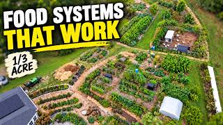 Permaculture Homestead Tour: How He Grows So Much Food on 1/3 Acre
