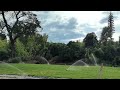 CRD Pop up Irrigation Sprinkler Head