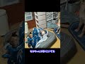 本気で休息する元猟犬　#shorts
