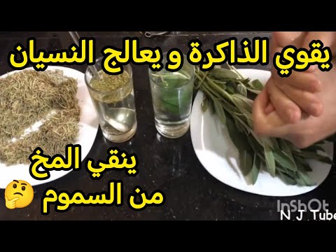 أقوى منشط لتقوية الذاكرة و علاج النسيان ينقي المخ من السموم!!