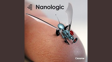 Nanoparticules