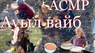 АУЫЛ БЛОГ.АСМР.#asmrvideos #ASMR#АСМРвидео