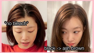 How to dye roots | from black to ash brown | no bleach
