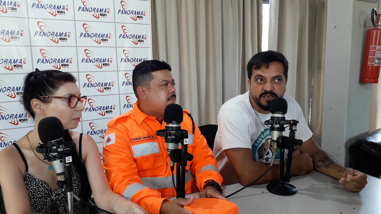 CNX Ambiente: com o calor aumenta a incidência de escorpiões e outros animais