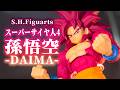 S.H.Figuarts スーパーサイヤ人4 孫悟空 DAIMA display