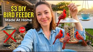 5 Genius Bird Feeders Made from Kitchen Scraps (They Look Expensive!)