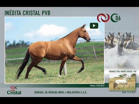 Inédita Cristal PVB