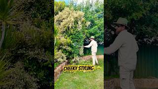 Let’s stop this Ficus taking over the lawn…