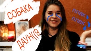 Злой кинолог: моя собака даун! Как я рада! Злой кинолог: моя собака даун! Как я рада!