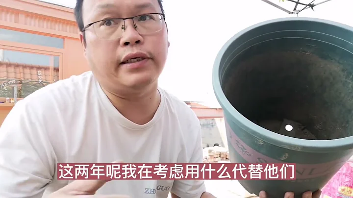 比陶球好！花盆万能底，透气不烂根 - 天天要闻