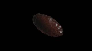 Procedural Crystal