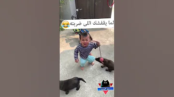 الكلب والبنطلون مضحك جدا كلاب مضحكة فيديوهات مضحكة مواقف مضحكة مقاطع مضحكة دموع الكوميديا 