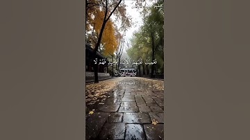 سورة القصص من  آية 64 إلى آية 68 بصوت الشيخ ياسر الدوسري♥♥
