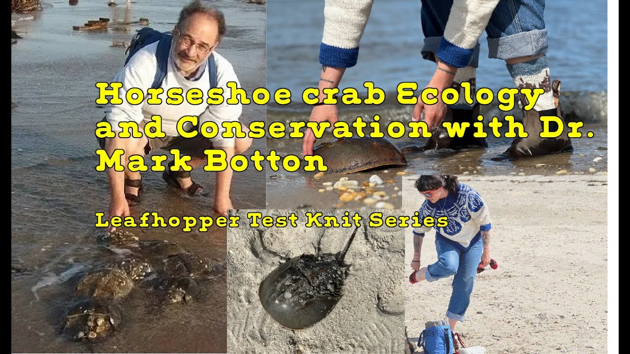 Mark Botton: Horseshoe Crab Ecology and Conservation