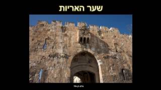 שער האריות - דהן אילנה