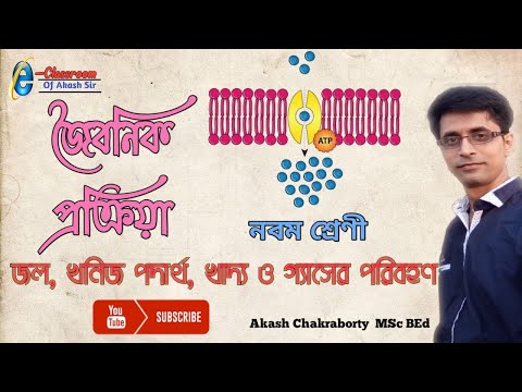 ভিডিও: খনিজ জল প্রস্তুত কিভাবে