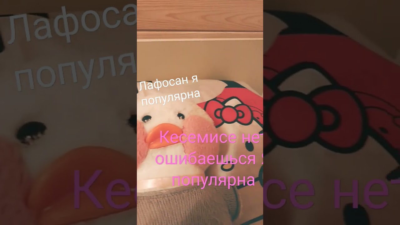 20 августа 2022 г.