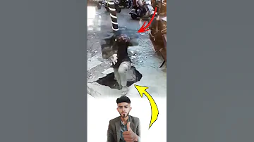 أحيان ا لا ندرك وجود الحفرة إلا بعدما تخطو أقدامنا فوقها ونسقط بداخلها Explore Like Shorts 