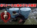 激ウマ彩1ナースを諦めさせるガチ陰キャ隠密-Dead by Daylight【EXAM】