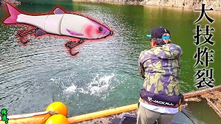 「８の字」したらダウスイが取り合いになる衝撃映像！