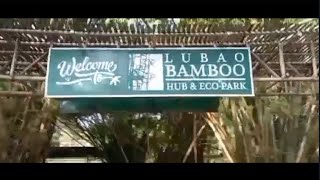 LUBAO BAMBOO HUB AND ECO PARK LUBAO BAMBOO HUB AND ECO PARK