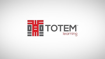 Totem Learning: What Do We Do?