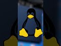 Todo sobre el Arduino UNO Q — Parte 1