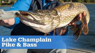 Lake Champlain Pike and Bass | S15 E06
