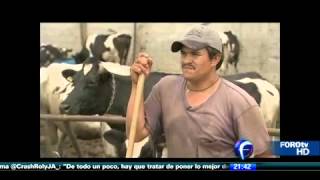 Producción De Leche En México 1