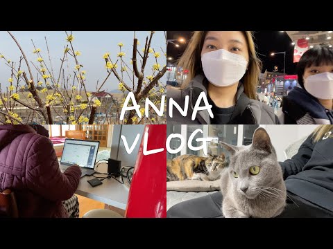 ENG) ANNA | 시골 한달살기,시골 브이로그,농촌생활,농촌 브이로그,1인 쇼핑몰 대표 브이로그,불량 교환,<strong>동대문</strong> <strong>도매시장</strong>,고양이)
