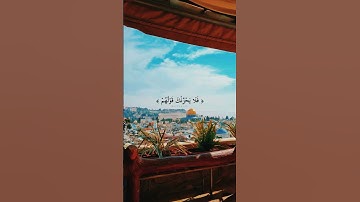 #قران_كريم #تلاوات_خاشعة #قرآن #تلاوه #تلاوات_خاشعة  #اكسبلور #quran #muslim
