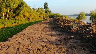 Bình minh trên Cù lao Tân Qui - Cầu Kè, Trà Vinh