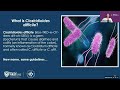 Preventing Clostridioides difficile Infections | A Refresher Session