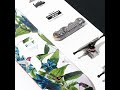スケボー初心者におすすめ PRIMITIVE コンプリートデッキ Dirty P Humming 8インチ
