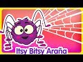 Itsy Bitsy Araña - Gallina Pintadita 3 - Oficial - Canciones infantiles para niños y bebés