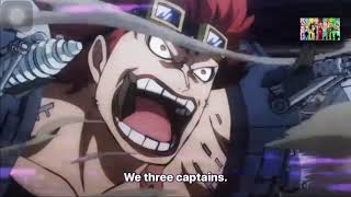 Law Call Luffy And Kid Idiots