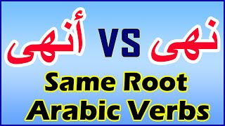 Arabic Verbs Share The Same root With Different Meaning | نهى وأنهى | Learn Arabic From Real Arab