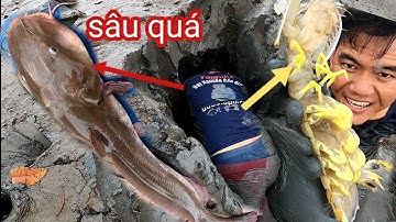 Con Cá Biết Nói Và Con tôm Tích Cụ Bị Sót Lại/Đạt Nguyễn Cần Giờ