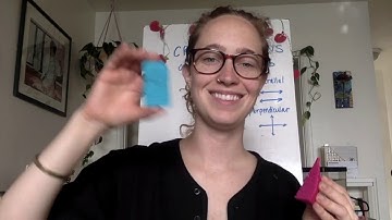 Cross Sections of 3D Shapes